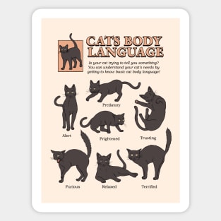 Cats Body Language Sticker